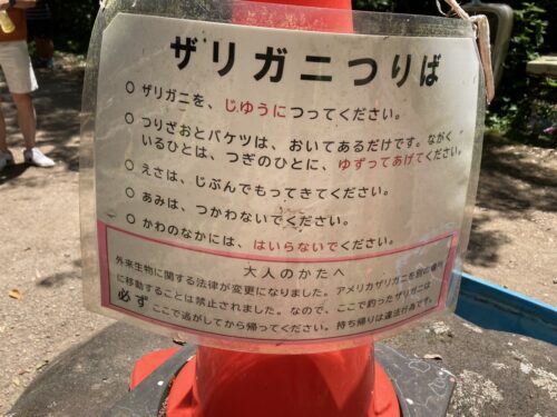 市川動植物園ザリガニ釣り