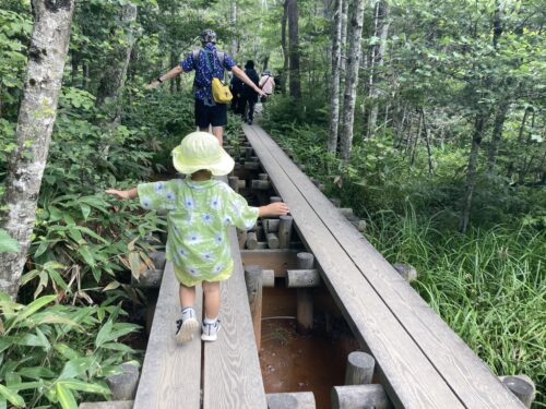 上高地遊歩道